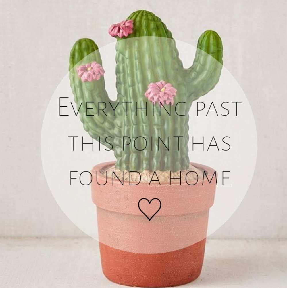 🌵🌼